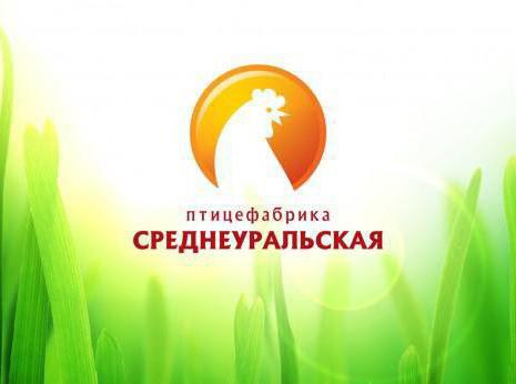 fabbrica di pollame Central Urals