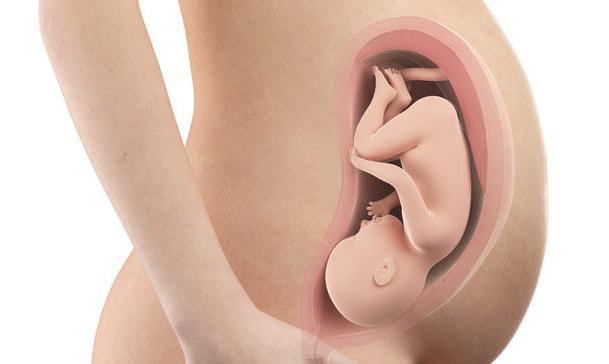 Как да разберем, че стомаха капки по време на бременност