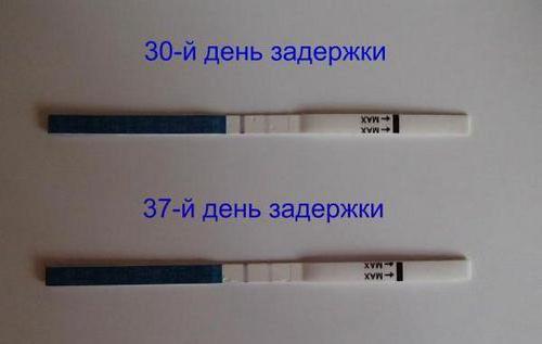 recensioni di test di gravidanza