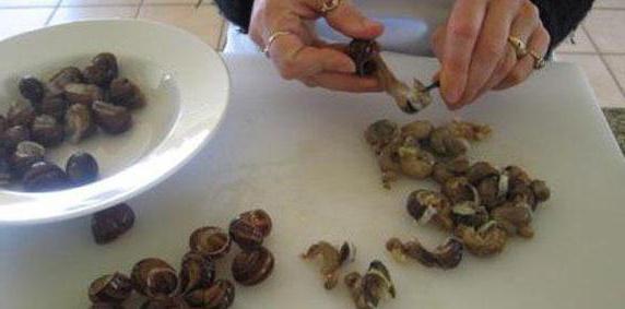 metoda gotowania ślimaków