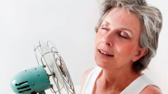 lijekove za menopauzu