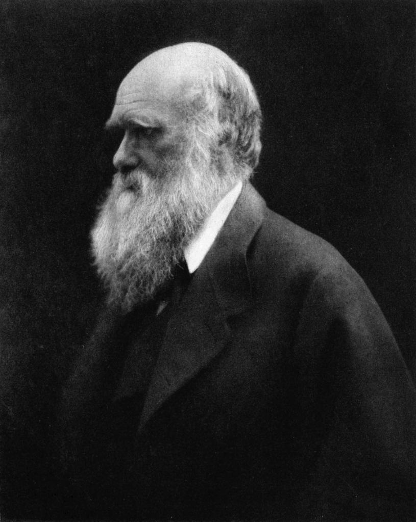 Цхарлес Дарвин
