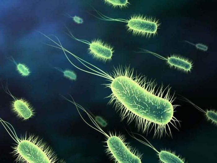 microrganismi patogeni