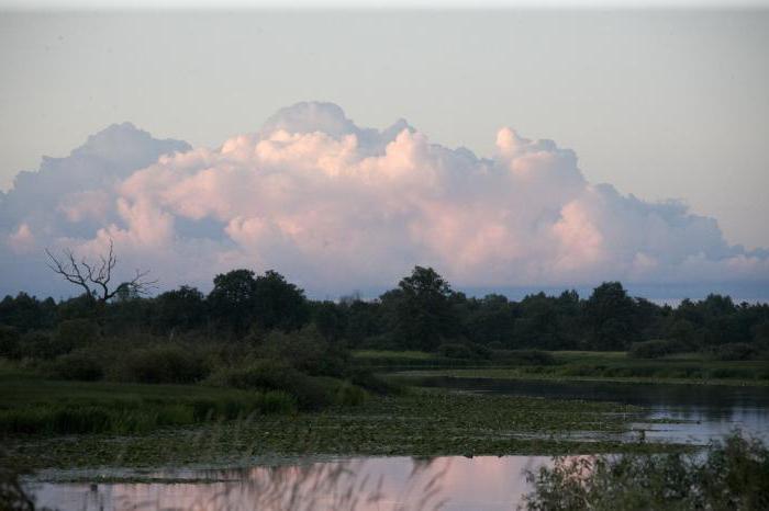 Снимка от Национален парк Припят