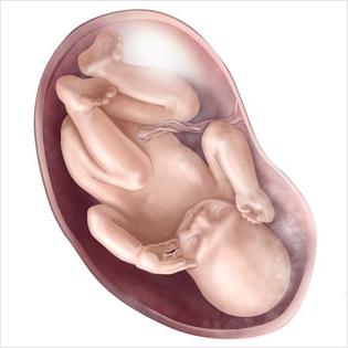 dugotrajne posljedice trudnoće za dijete