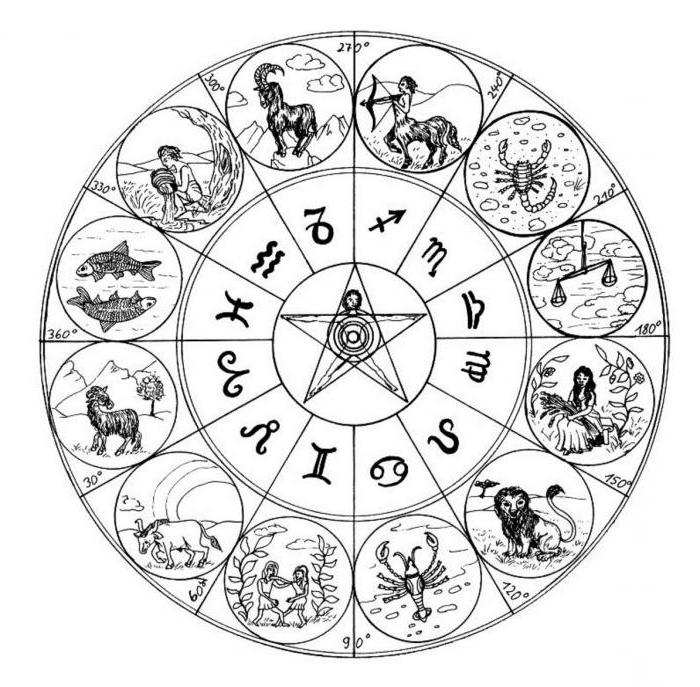 plusy i minusy znaku zodiaku