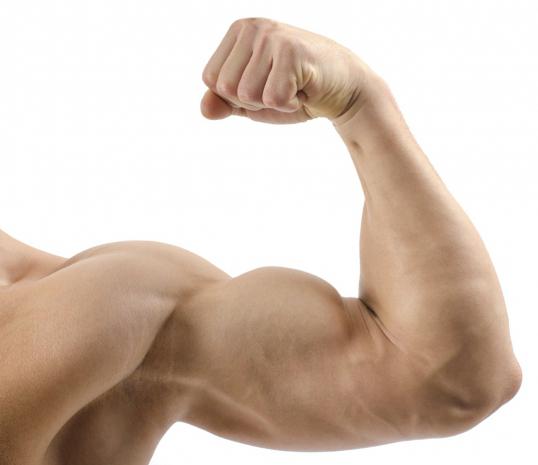domaći mišićni proteini