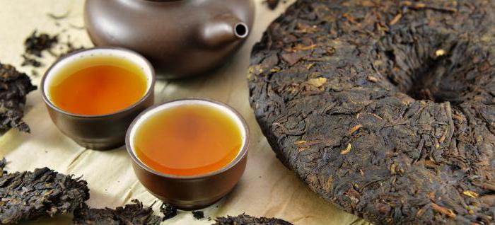 recensioni di effetti del tè del puer