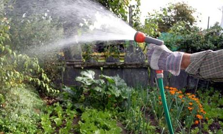 Pompa da giardino per irrigazione