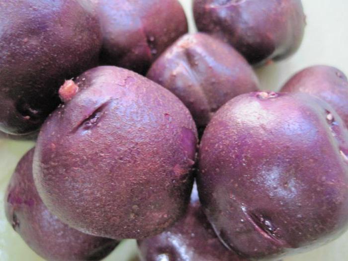 лилави картофи полезни свойства