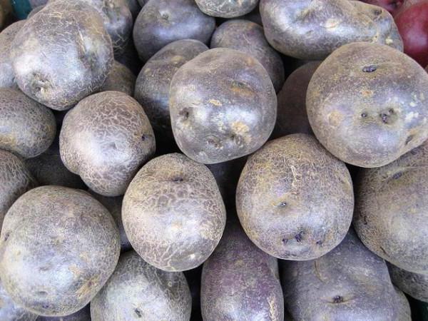 сортове картофи лилаво