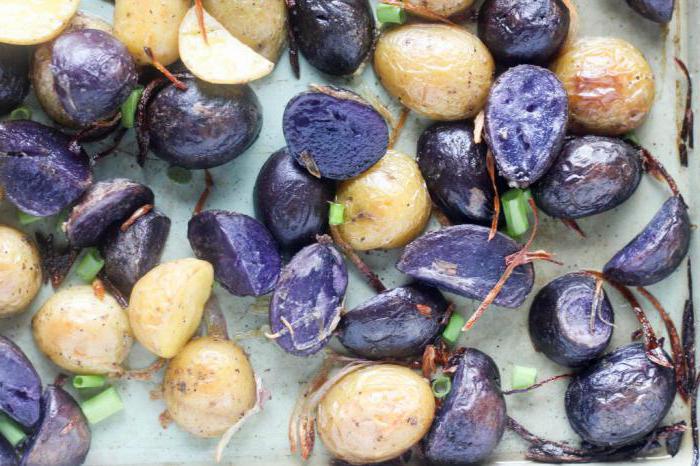 сортове картофи лилаво