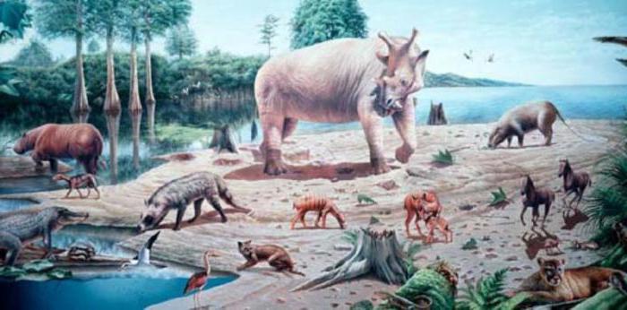 Pleistocen i holocen