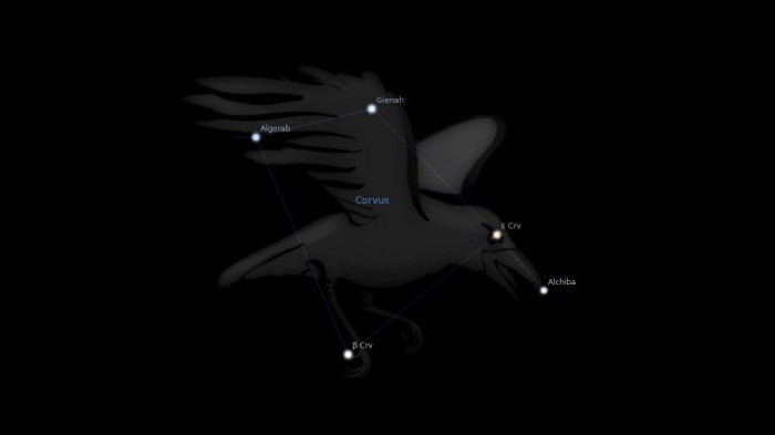 souhvězdí Raven