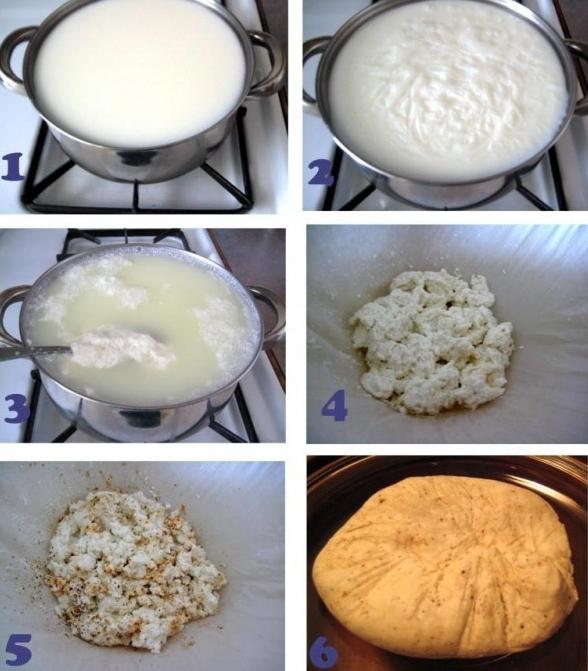 kako napraviti domaći sir