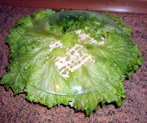 houbový šalát s žampiony nebo hříbkovým šalátovým salátem s medovými agary