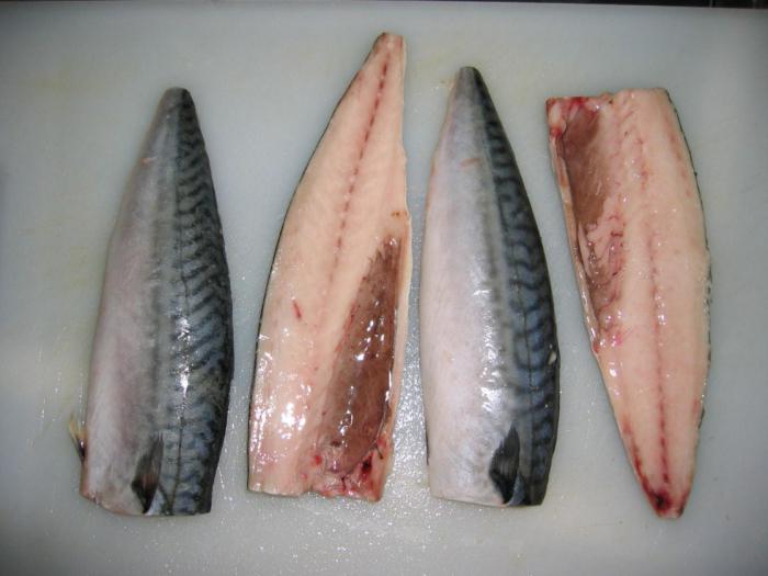 przepyszny przepis na solenie makreli