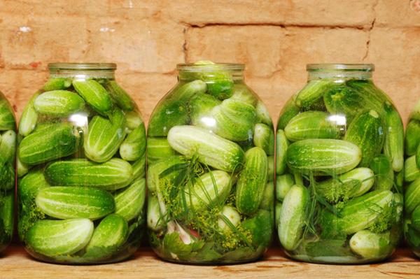 Cucumber Pickle Recepty