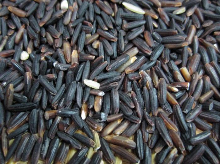 рецепти за црни пиринач