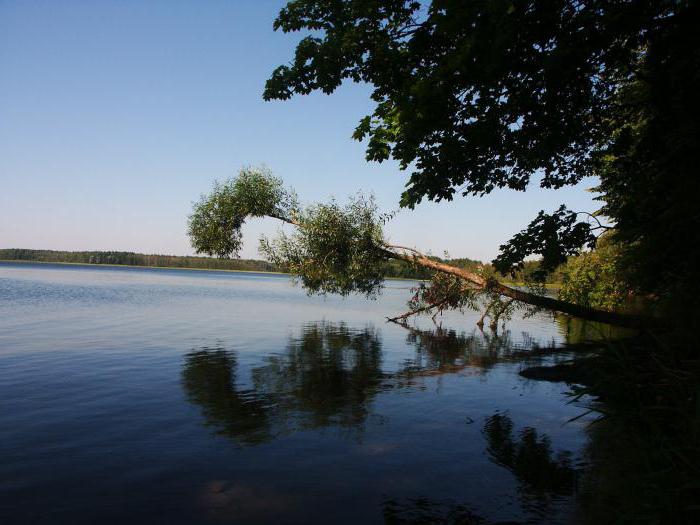 Jezero Vyshtynetsky