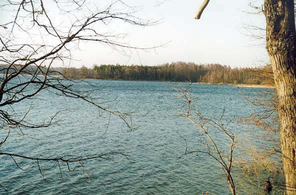 Jezero Vyttyne, regija Kaliningrad