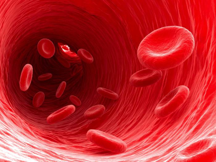 rdečih krvnih celic normalno