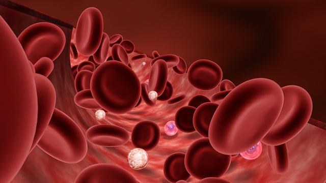 norma rdečih krvnih celic pri otroku