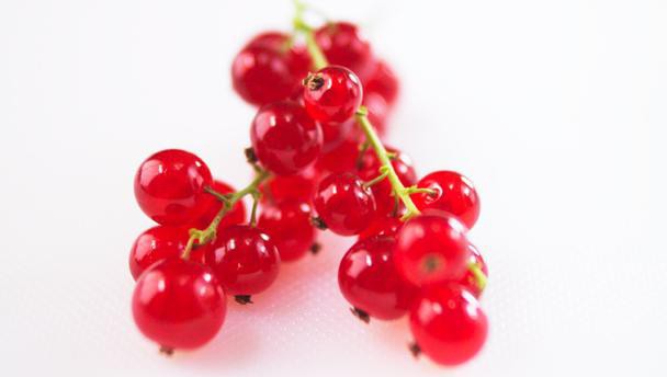 полезни свойства на червено френско грозде