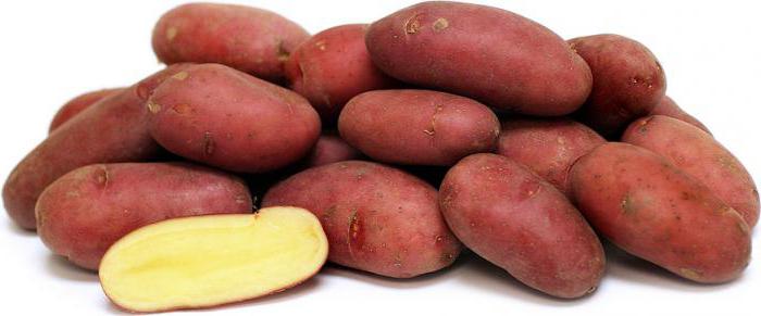 картофени червени сортови характерни ревюта