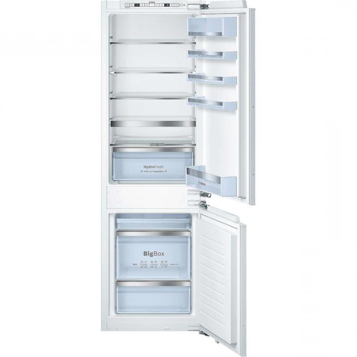 Recensioni professionali dei frigoriferi Bosch