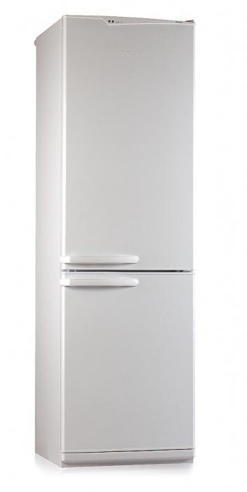 dvosedežni hladilnik predstavlja pregled