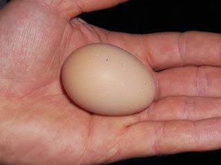 отстраняване на увреждане с яйца