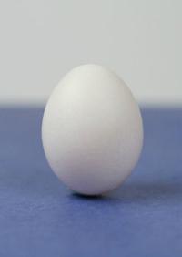 hodnocení zničení poškození vajec