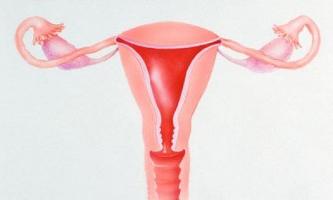 skvrny během ovulace