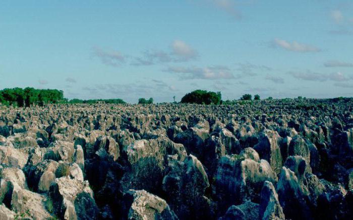 Zemlja Nauru