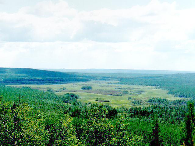 Tungus přírodní rezervace