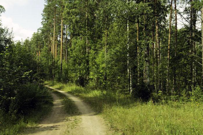 Резерват Лењинградске регије