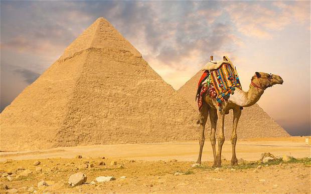 Odmor u Egiptu u srpnju