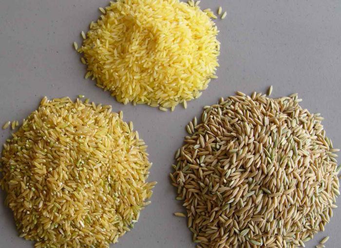 korištenje smeđe riže