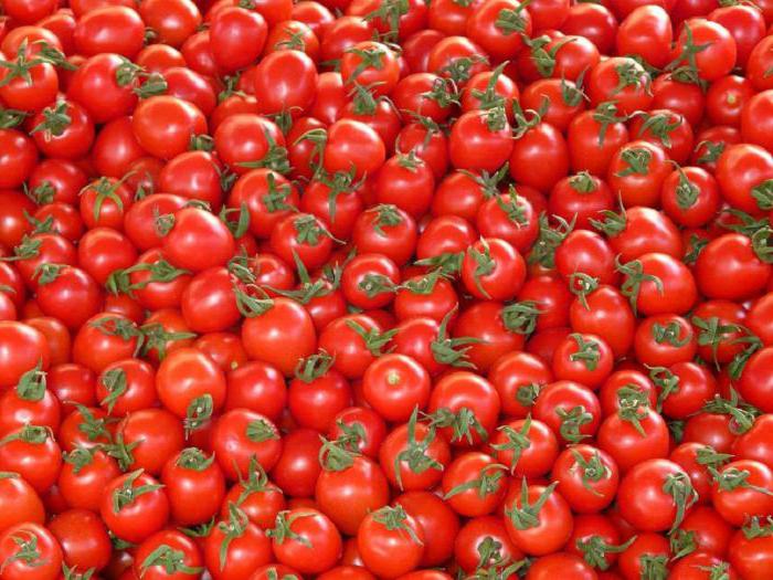 zagadka o pomidorze