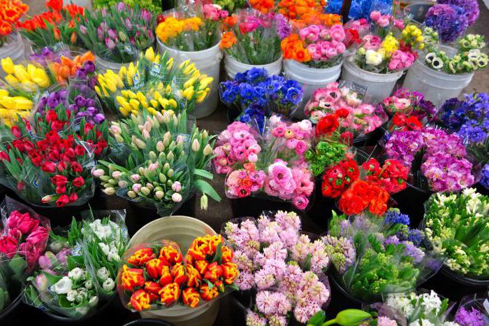 Riga Flower Market