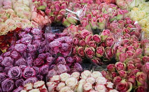 Indirizzo del mercato dei fiori di Riga