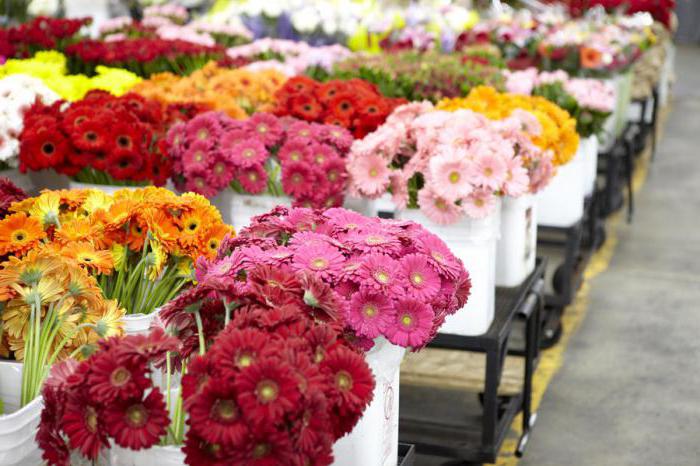 колко време се отваря пазарът на цветята в Рига