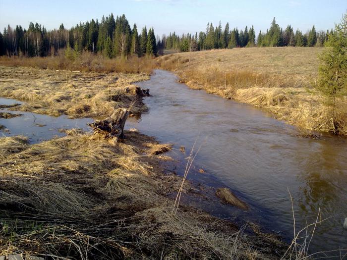 Začátek řeky Ural