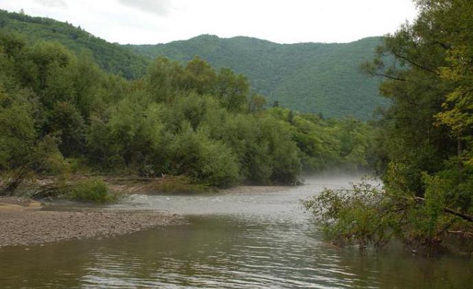 ussuri river