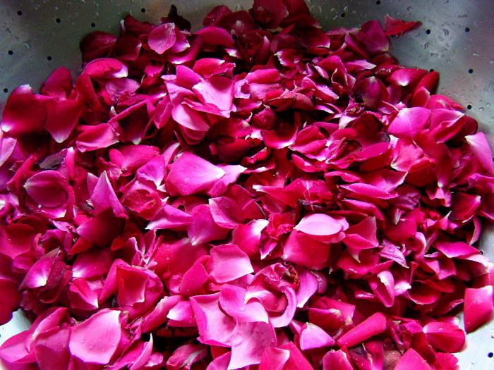 ricetta marmellata di petali di rosa
