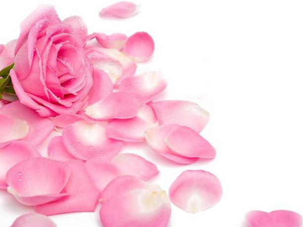 applicazione di petali di rosa