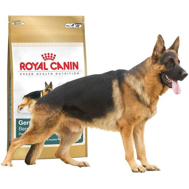 recensioni di cibo per gatti royal canin