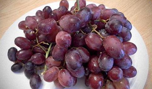 Recensioni di rumba d'uva