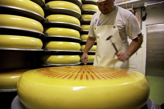 Obsah ruských sýrů na 100 gramů